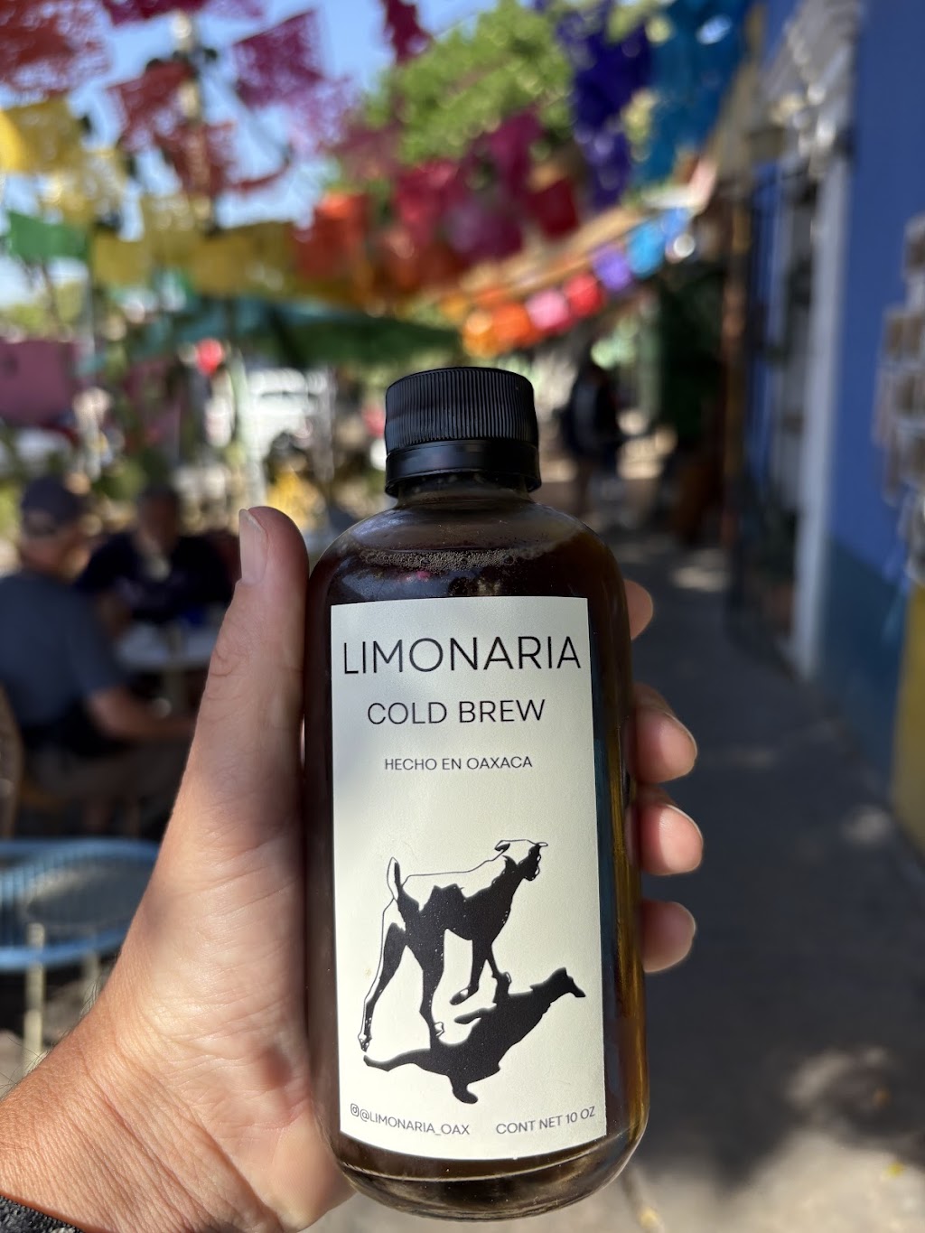 Once in Oaxaca