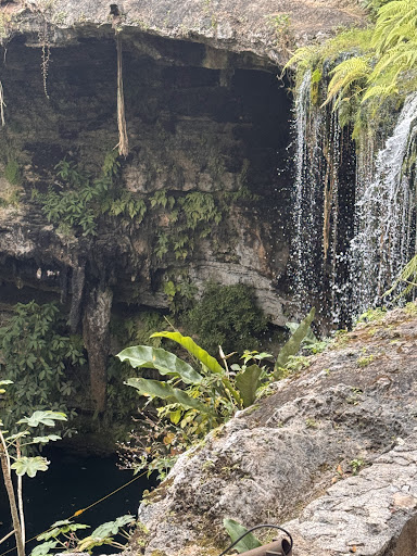 Cenote Selva Maya
