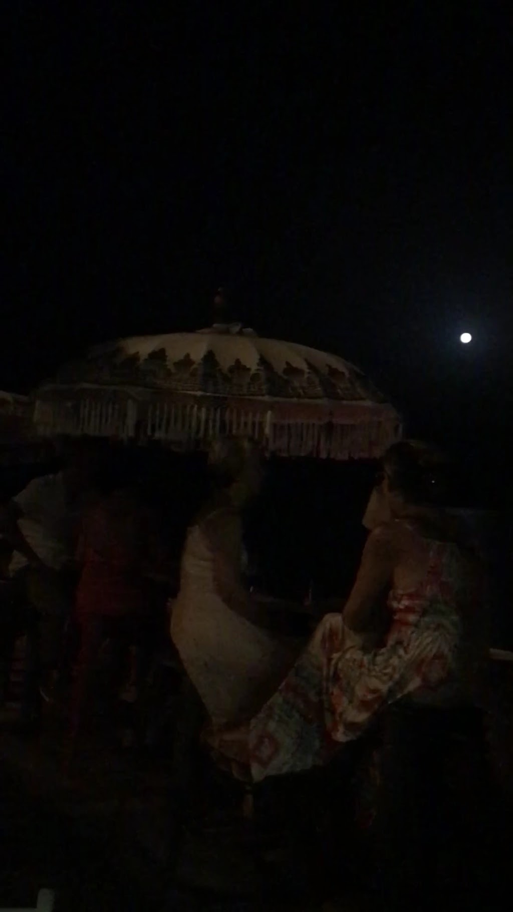 Gecko Beach Shack