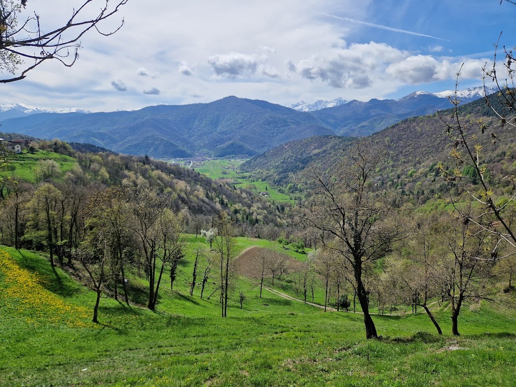Montemale Di Cuneo, Cavallerleone