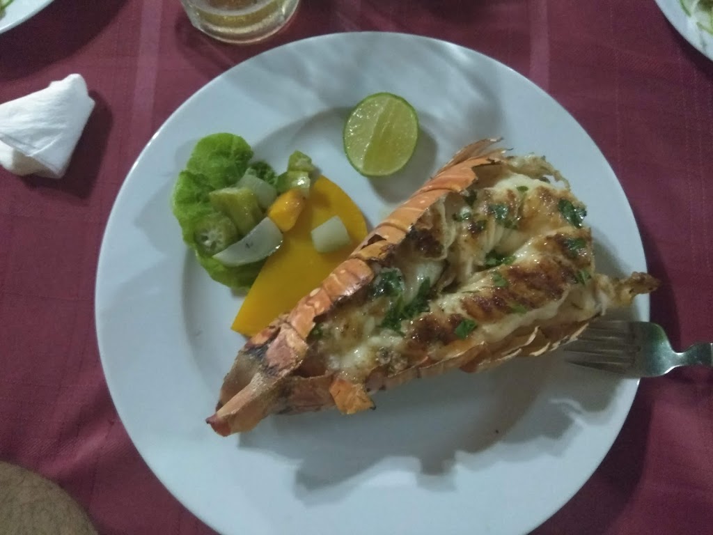 El Palenquito