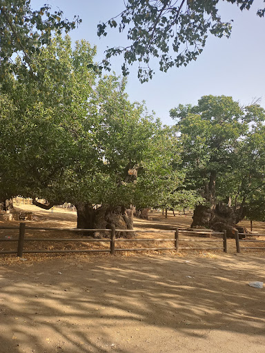 Los Castaños
