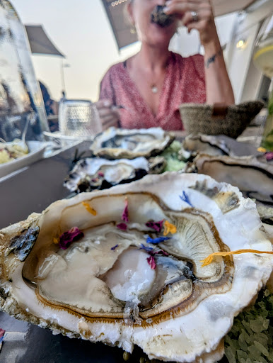 L'Ostra