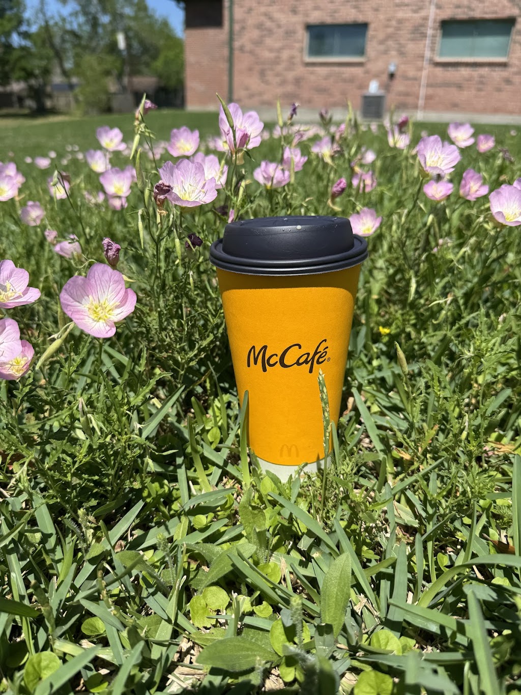 McDonald's, Friendswood, TX