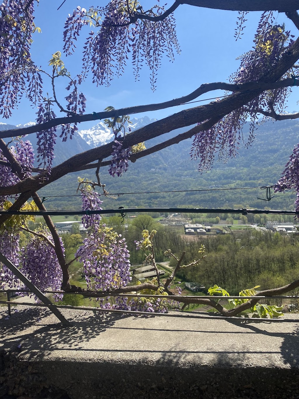 Agriturismo Fracia