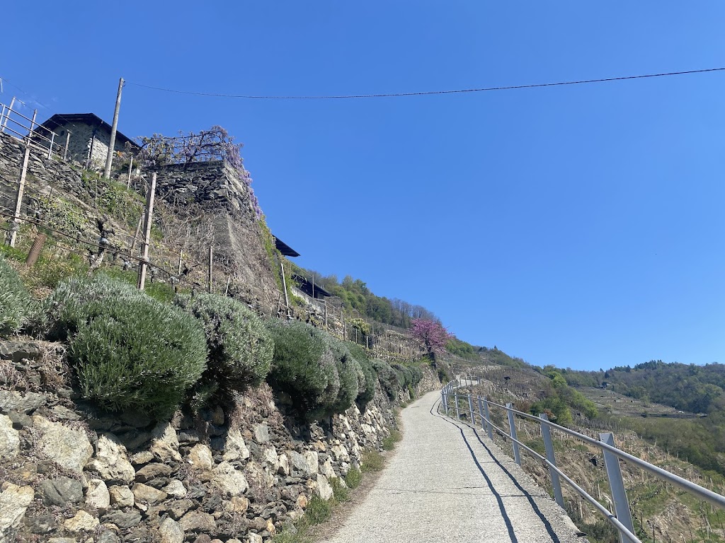 Agriturismo Fracia