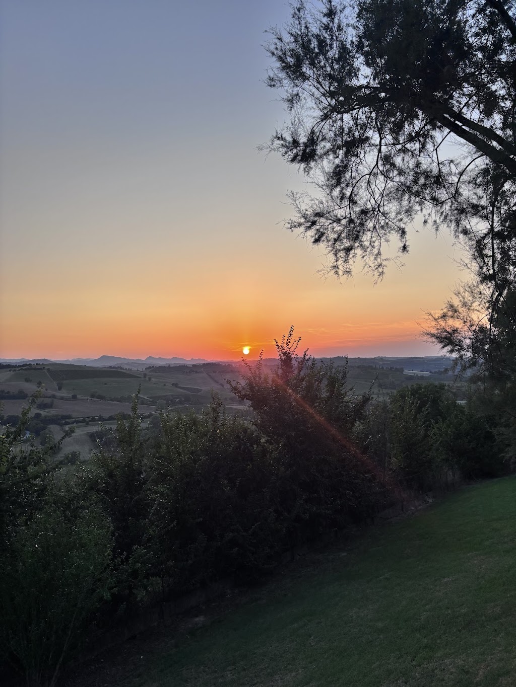 Corso Nizza - Celle