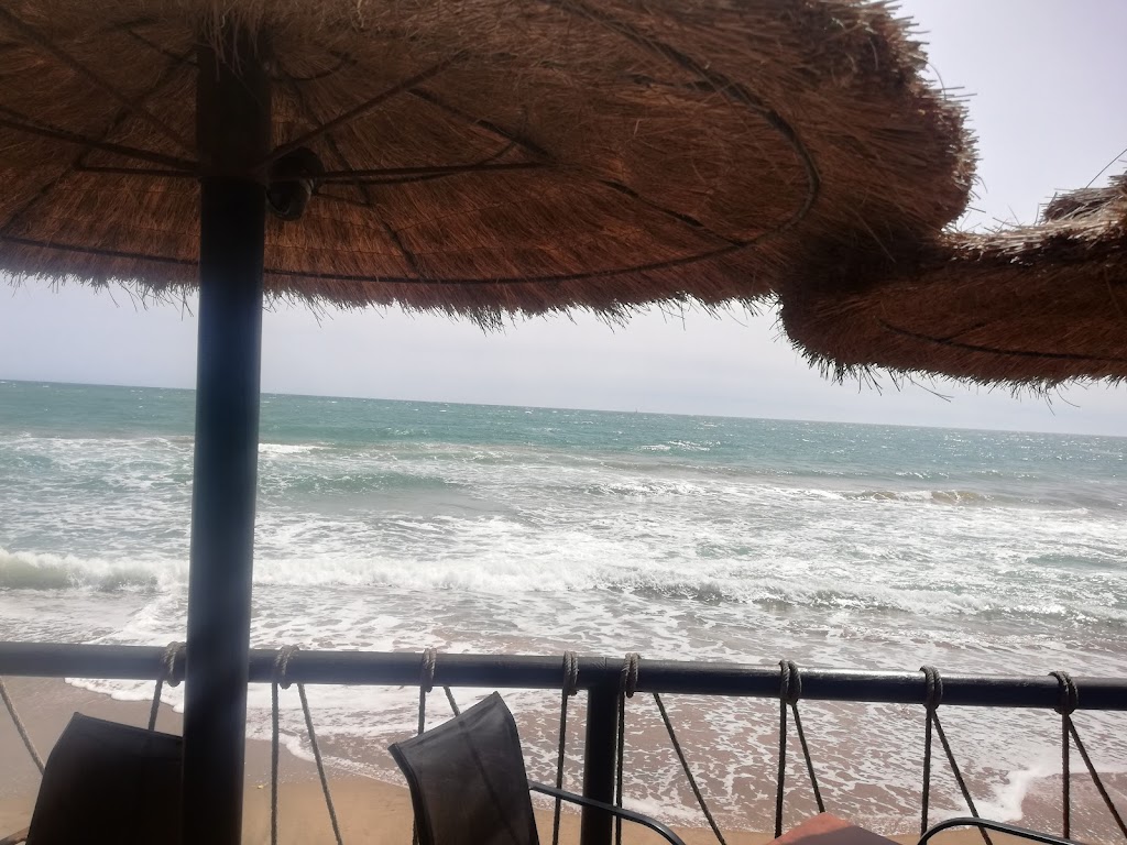 Surfer's Bar