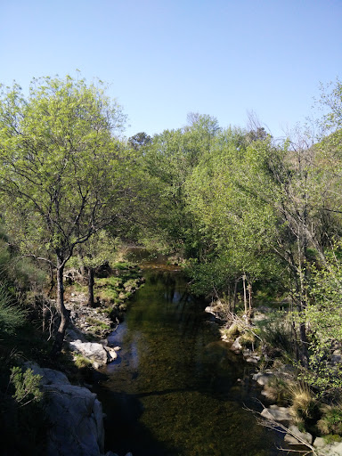 Bar La Rivera