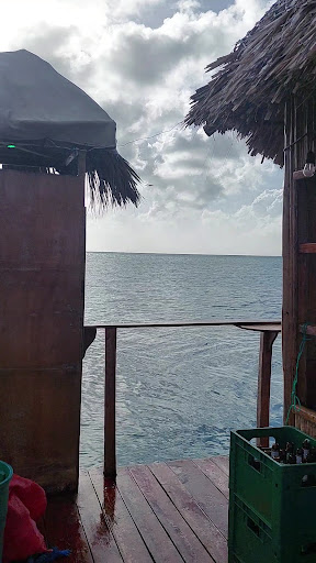 Bitcoin Bikini Bar