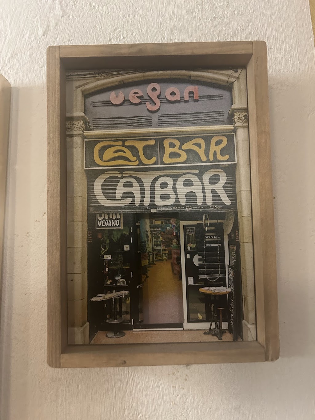 CatBar