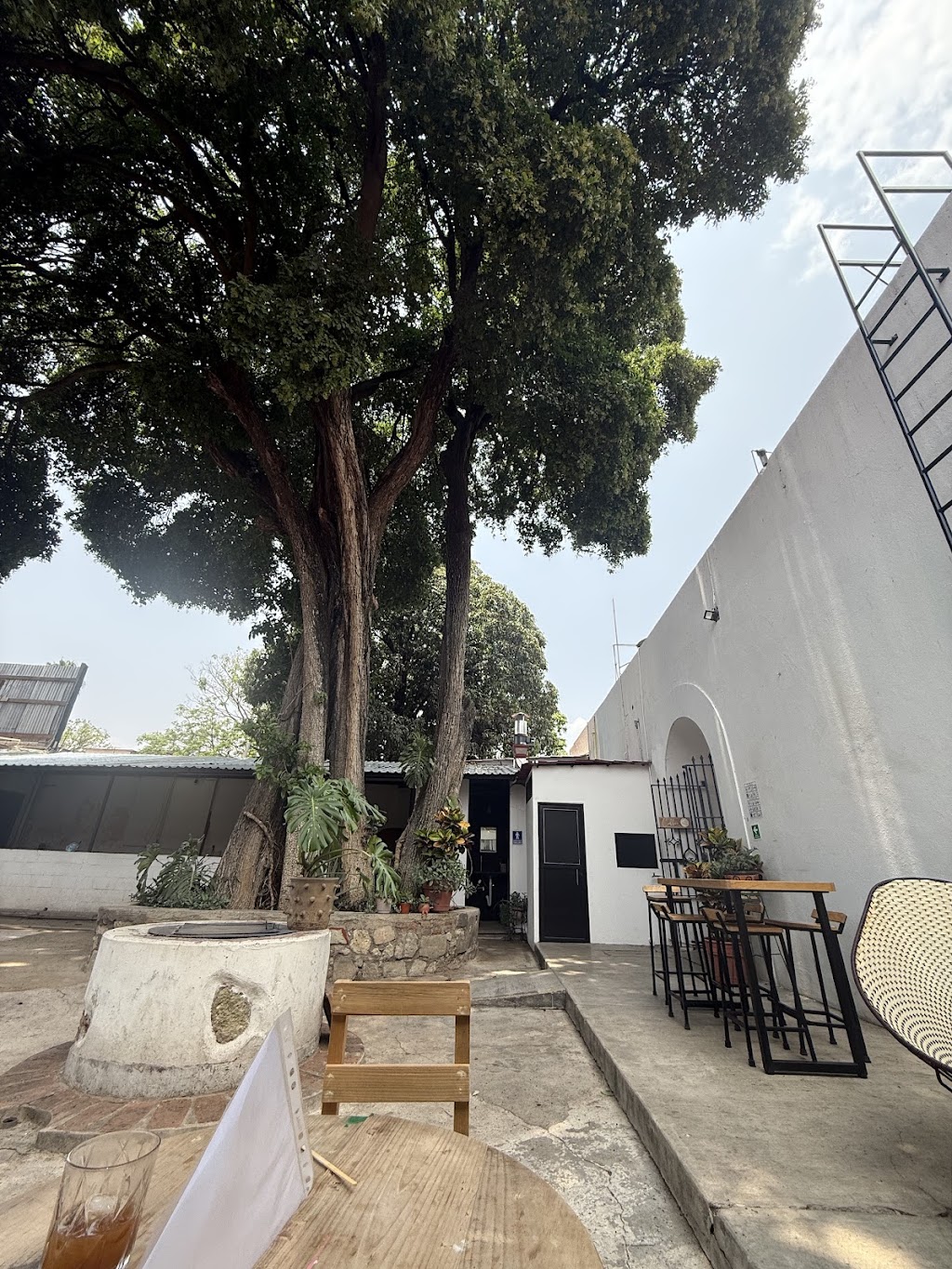 Aareo Coffee
