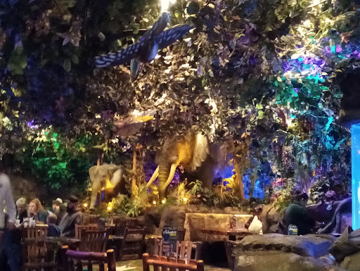 Rainforest Cafe