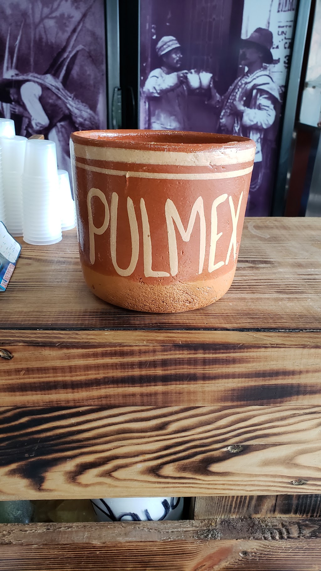 La Pulmex " Pulqueria"