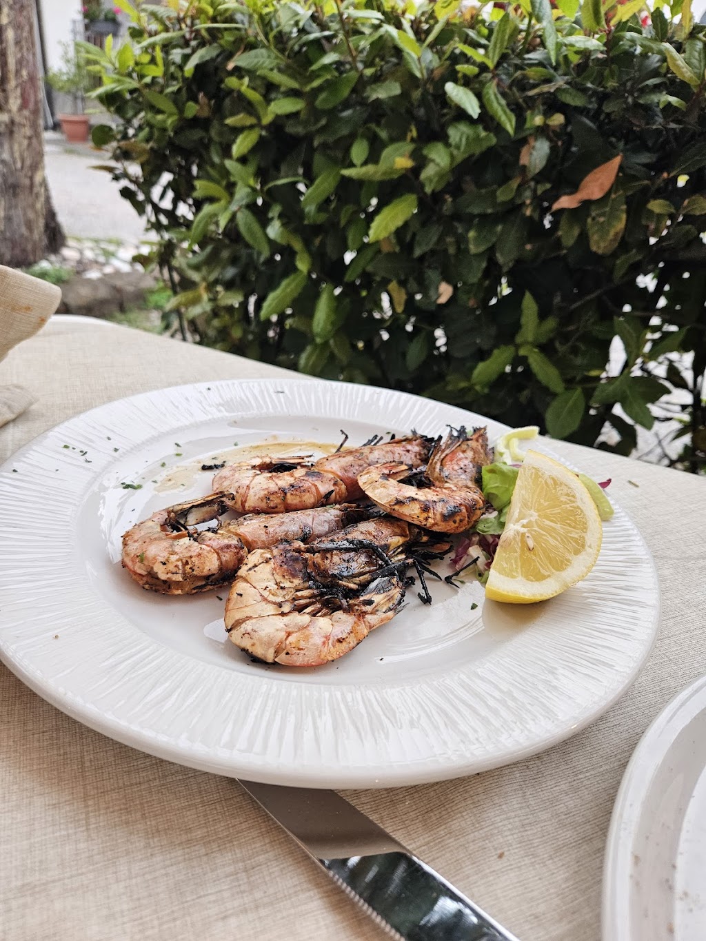 Ristorante Pizzeria Gatto che Ride, Manerba del Garda