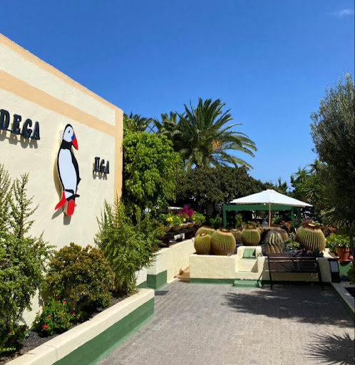 Bodega Uga
