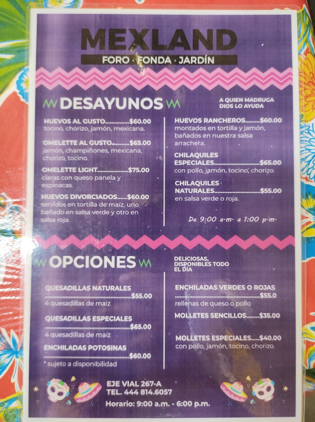 Antojitos Mexicanos Mexland, San Luis Potosí, Mexico
