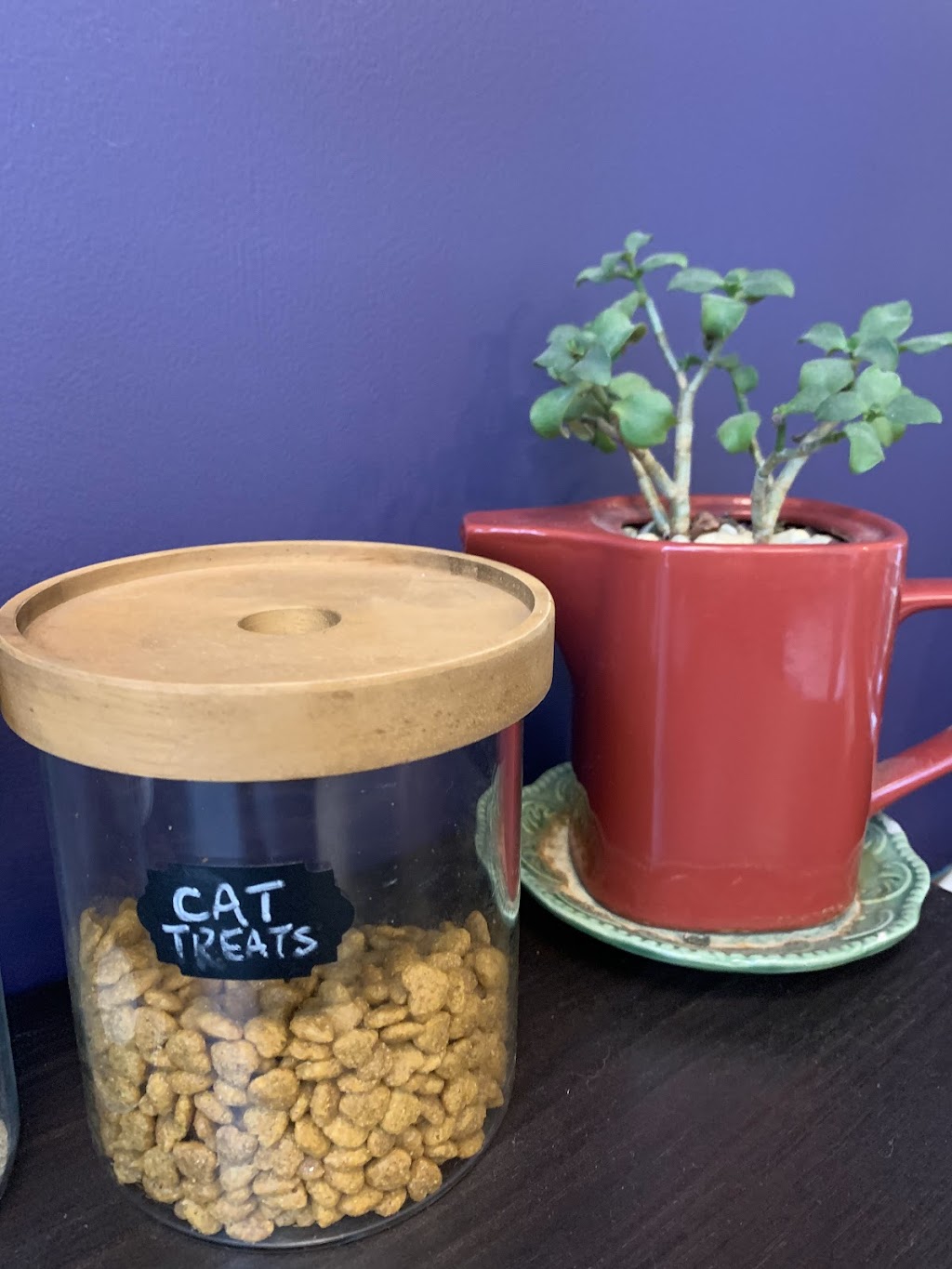 Fat Cats: Organic Coffee & Desserts