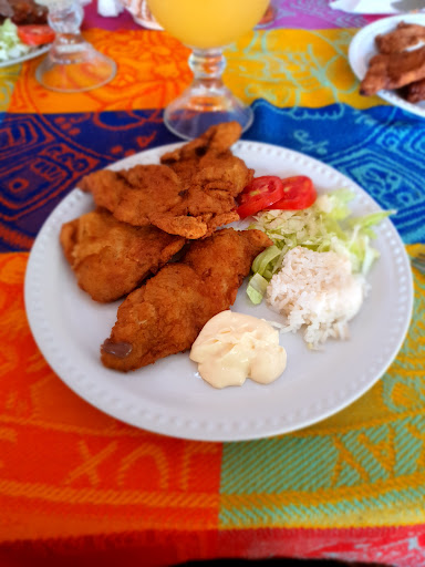 El Cocodrilo