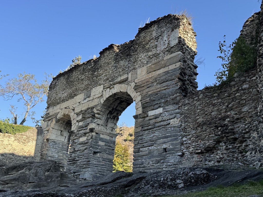 Segvsio