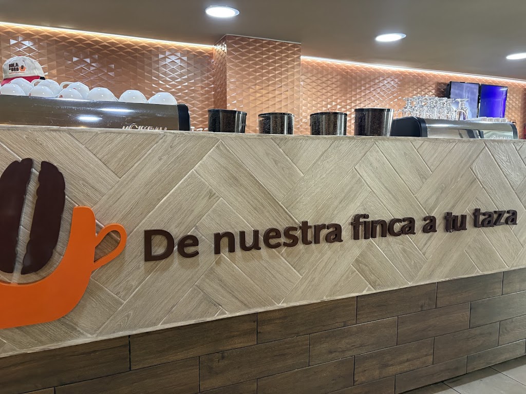 Jalapa Enriquez Centro, Xalapa