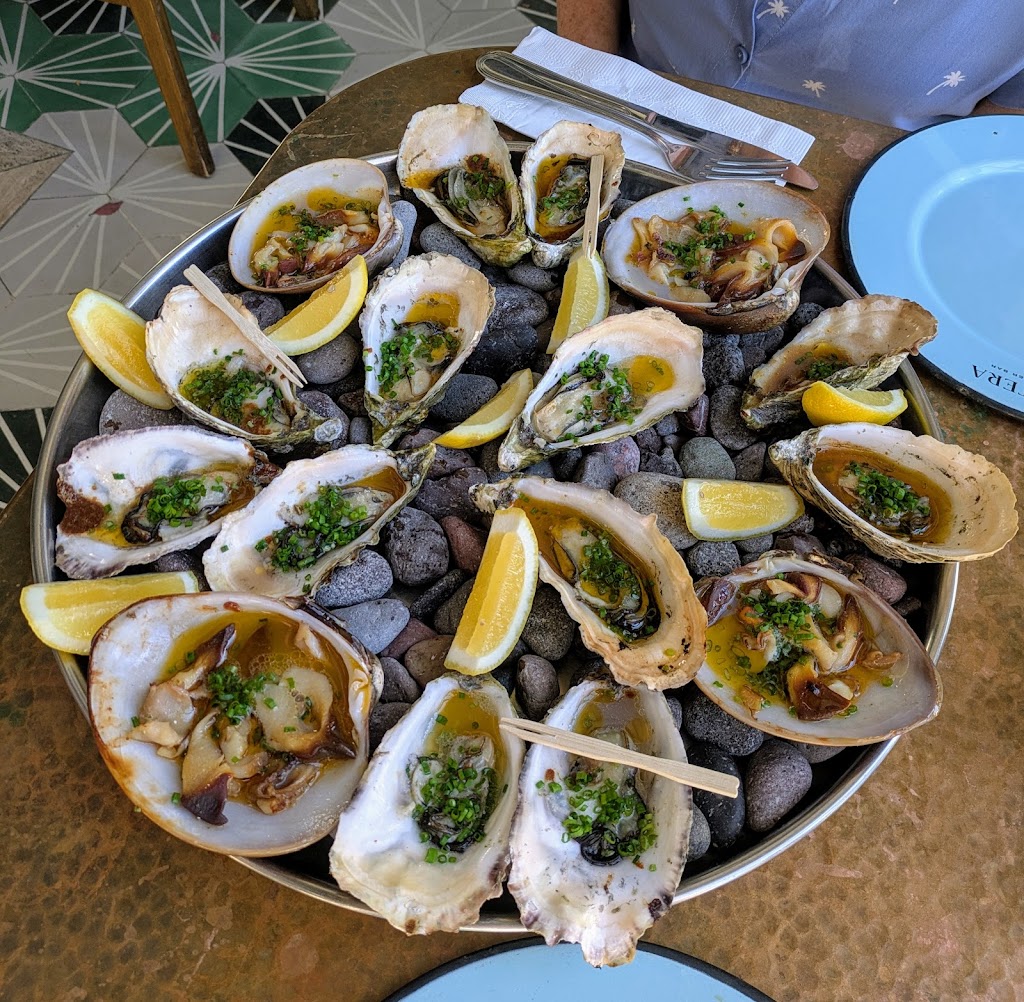 Oystera