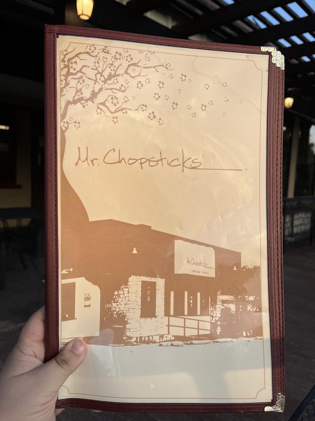 Mr. Chopsticks