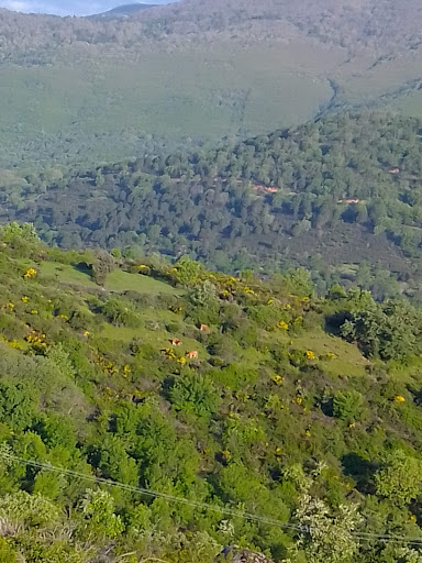 De Solís
