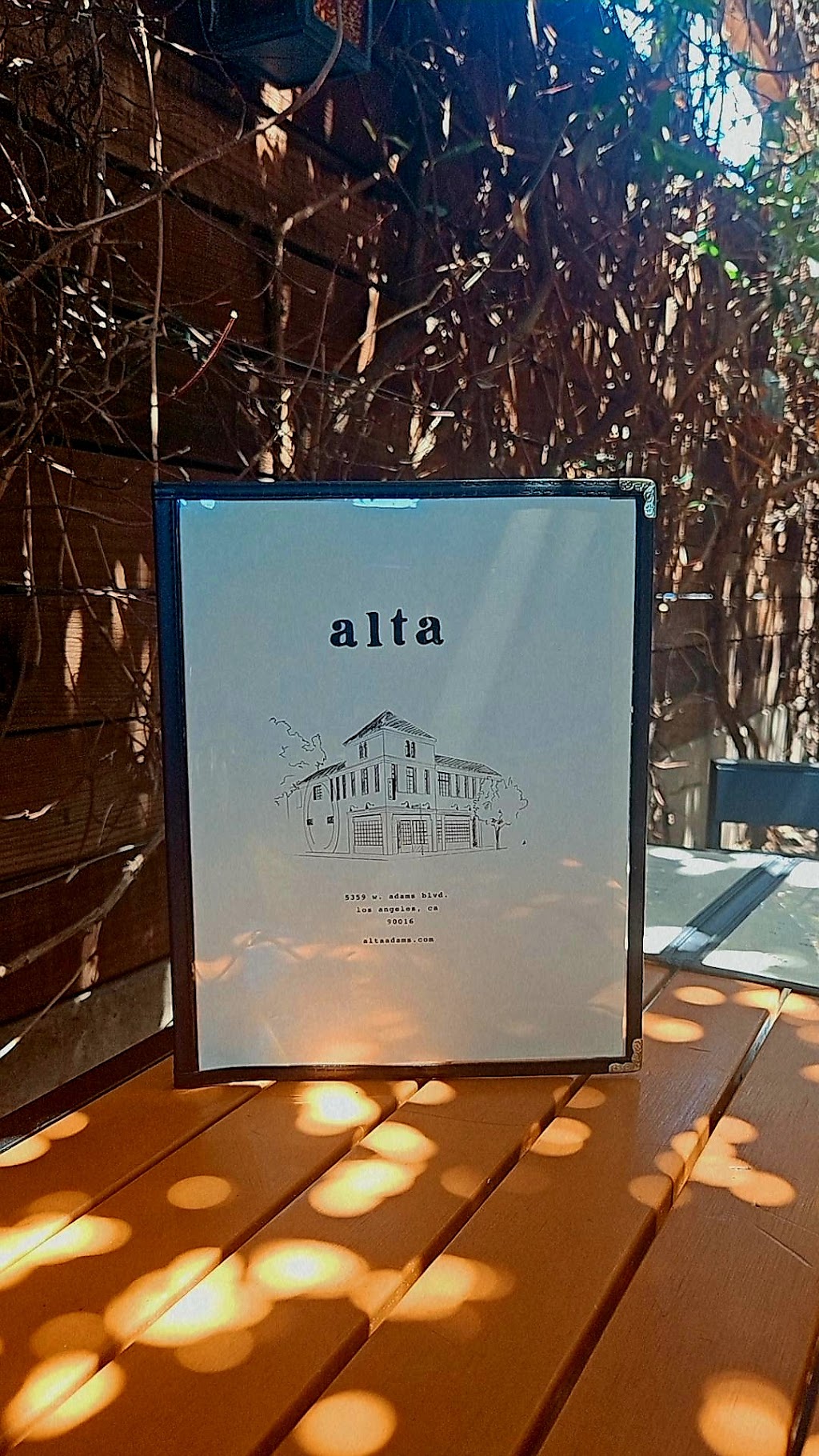 Alta