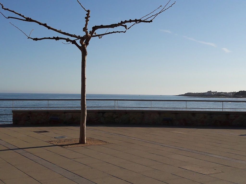 Bar la Maya, Alcossebre