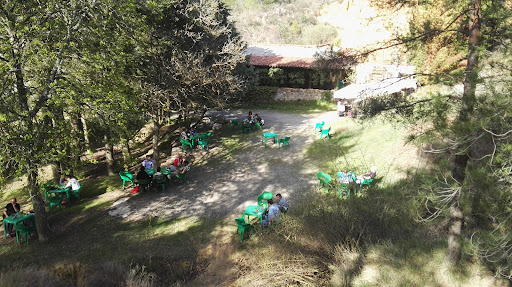 Taberna de los Pinos