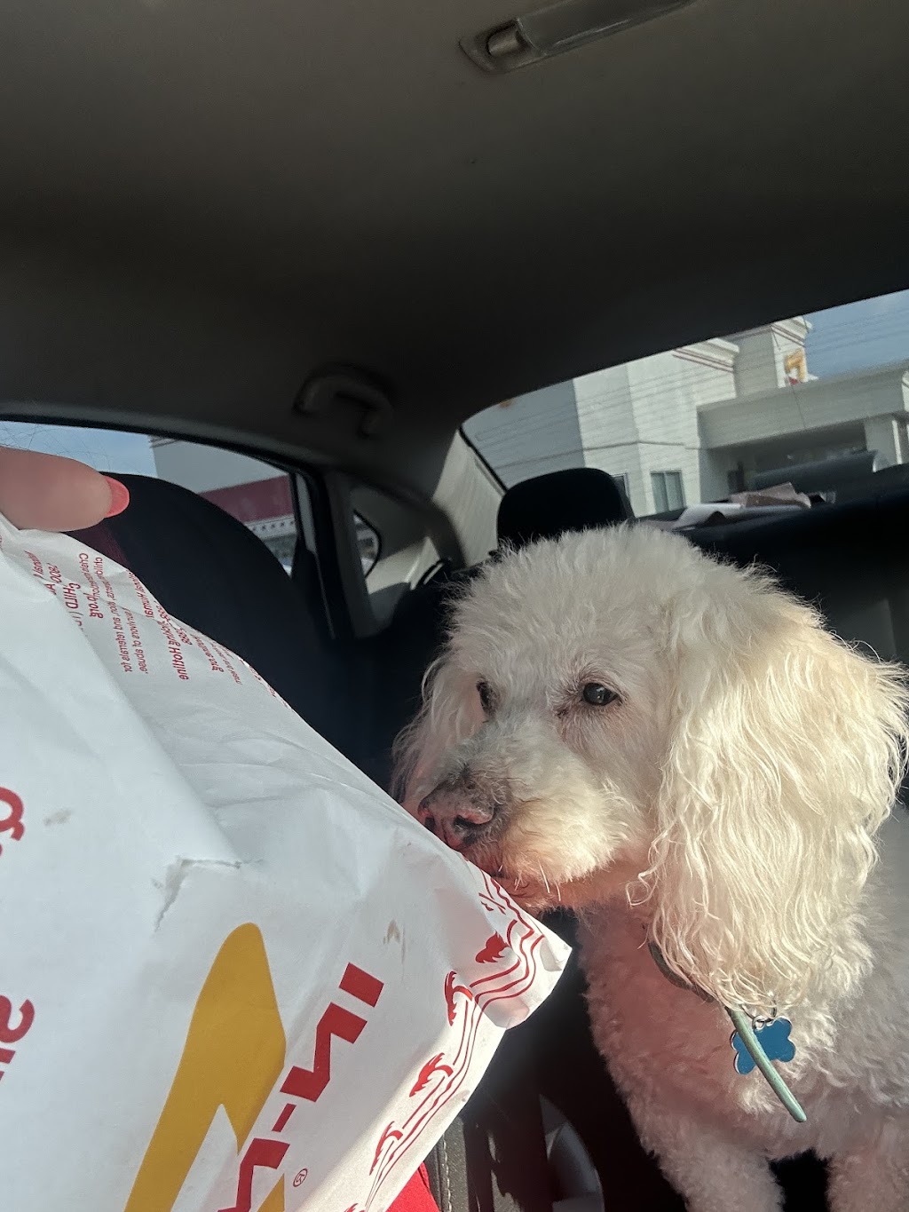 In-N-Out Burger