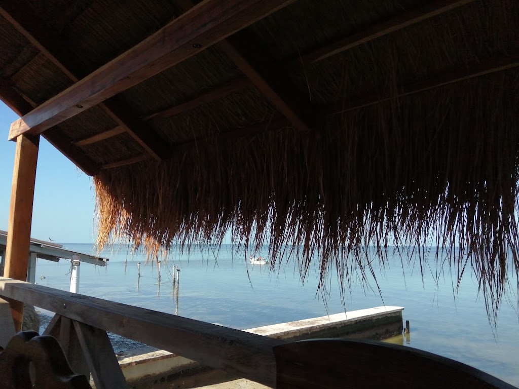 La Palapa