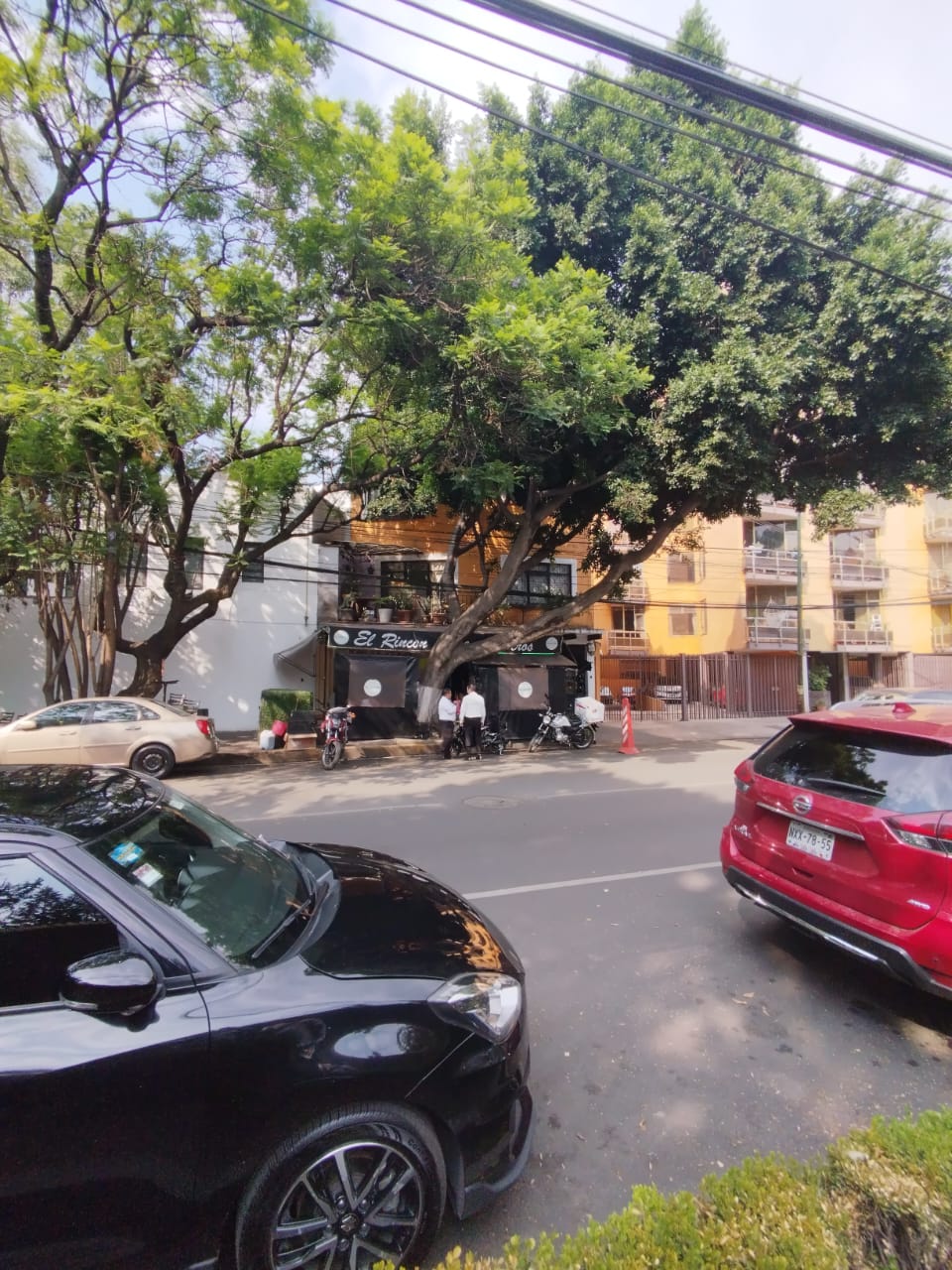 El Rincón de Viveros