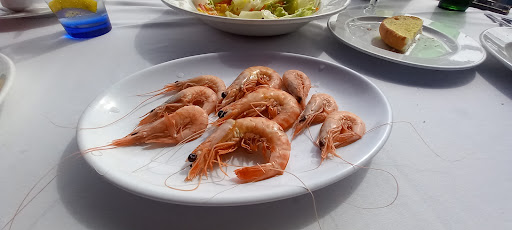 El Portal del Puerto.com
