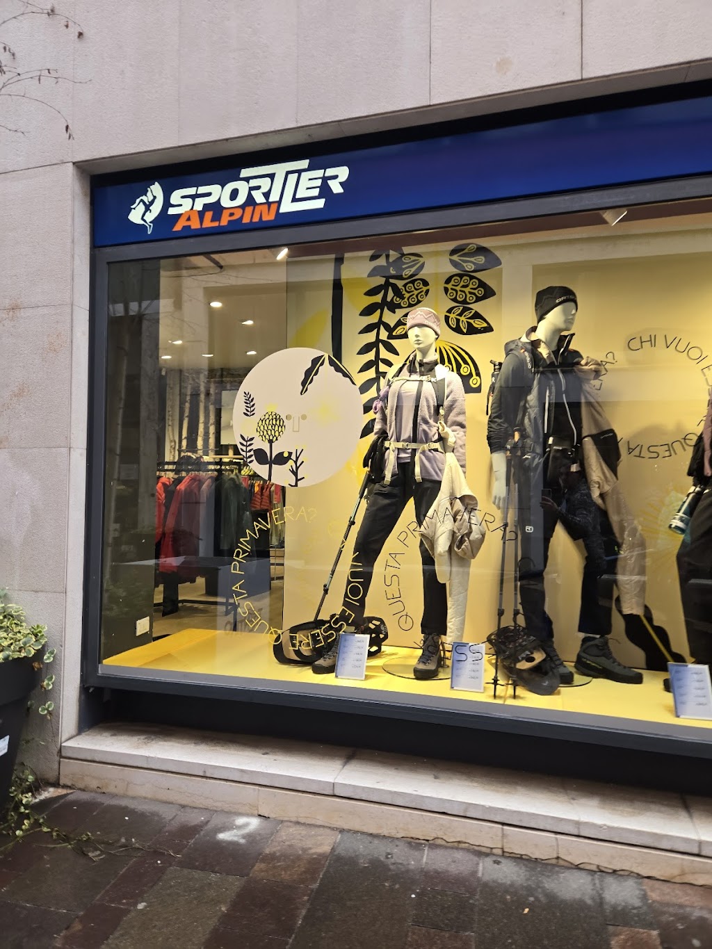 Sport