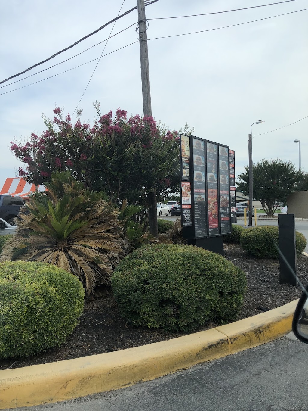 Schlotzsky's, Seguin, TX