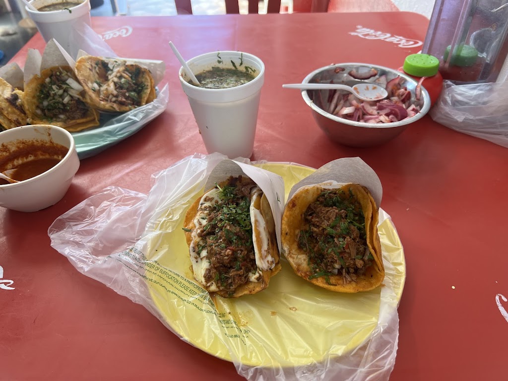 Birria