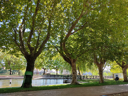 Chilingito Alameda del Pino