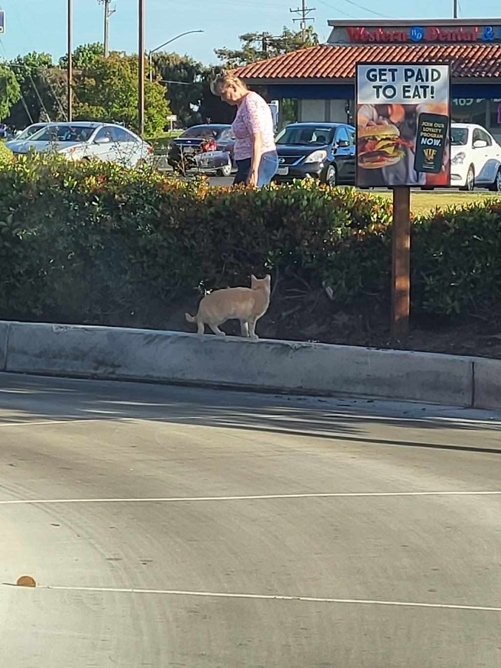 Farmer Boys