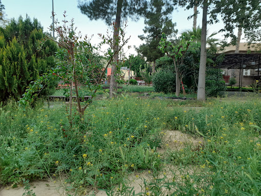 Centro De Mayores