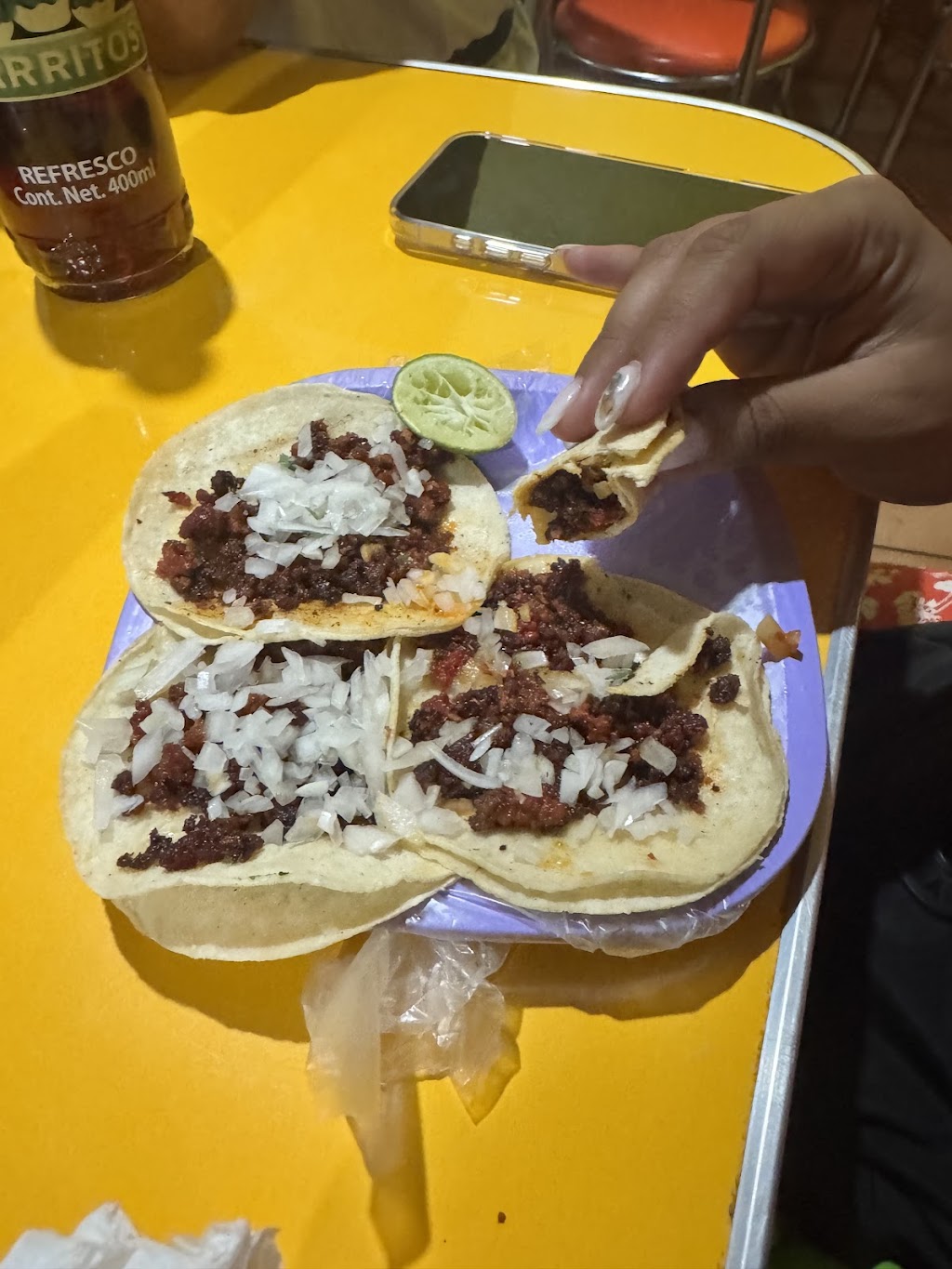 El Zarape, Tepoztlan