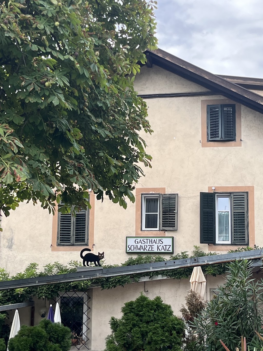 Gatto Nero