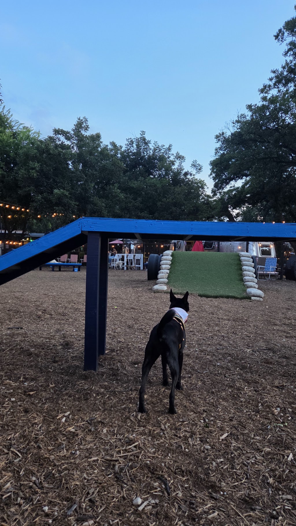 Hops and Hounds Bar