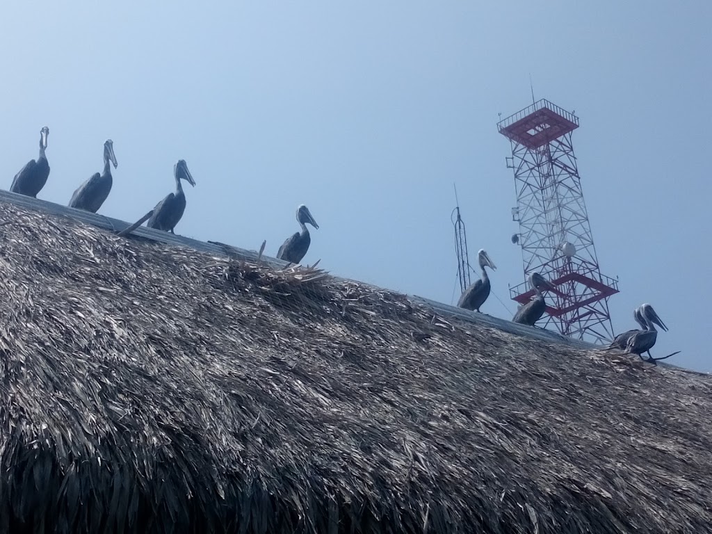 Las mojarras