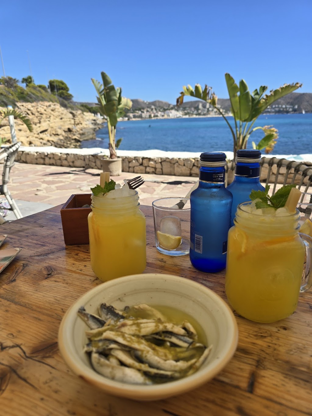 Algas L’Andragó