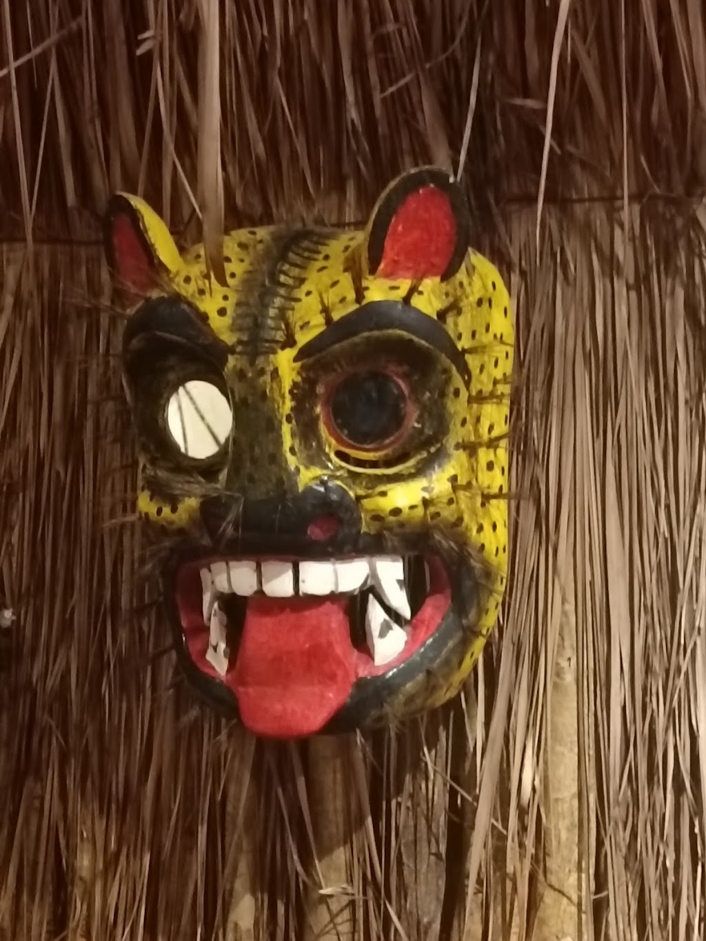 Pizza Casa Jaguar