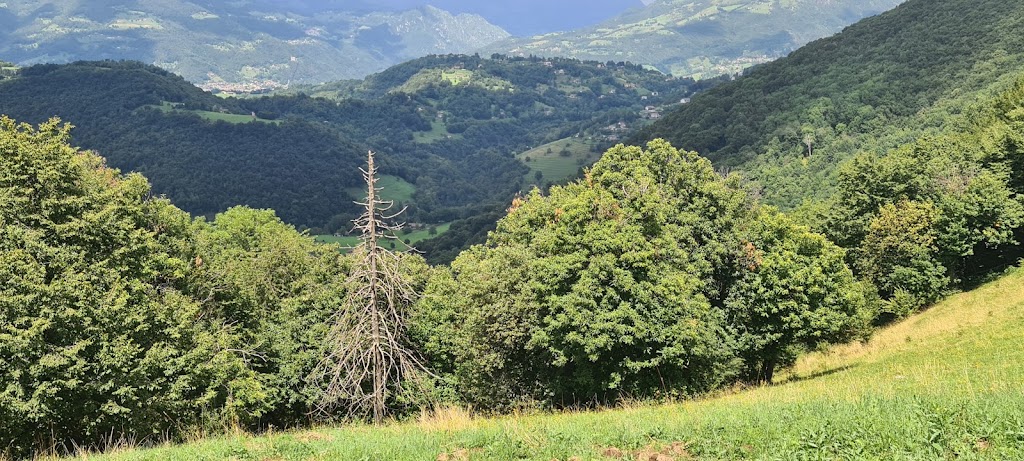 Trattoria dal Corla, Albino