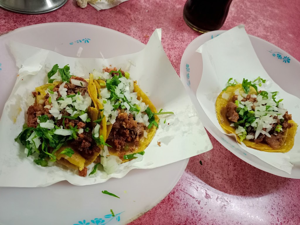 Taqueria San José
