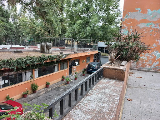 El Venadito